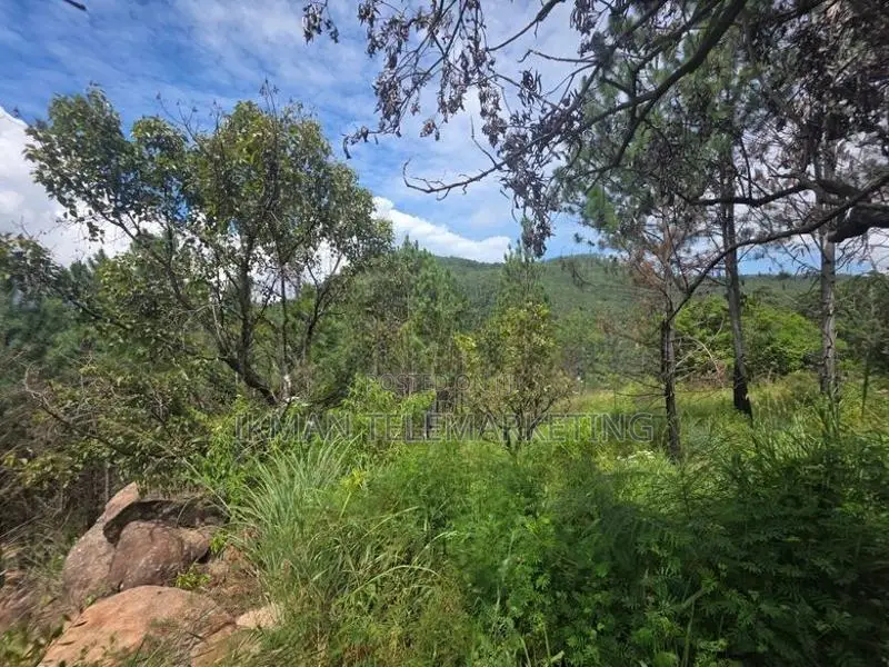 Prime Commercial Land for Sale in Kithal Ella, Ella