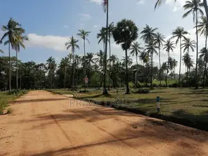 වාරියපොල නගරයෙන්ම නේවාසික කලාපයෙන් සින්නක්කර බිම්කොටස්