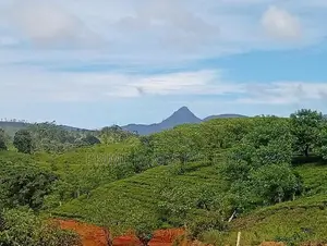 Beautiful Land for Sale in Hatton