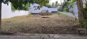 Lake Road Land For Sale In Palawattha