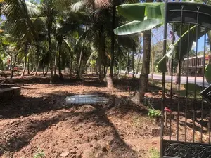 කුරුණෑගල - අනුරාධපුර බස් පාරින් ඉඩමක්
