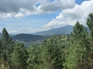 Prime Commercial Land for Sale in Kithal Ella, Ella