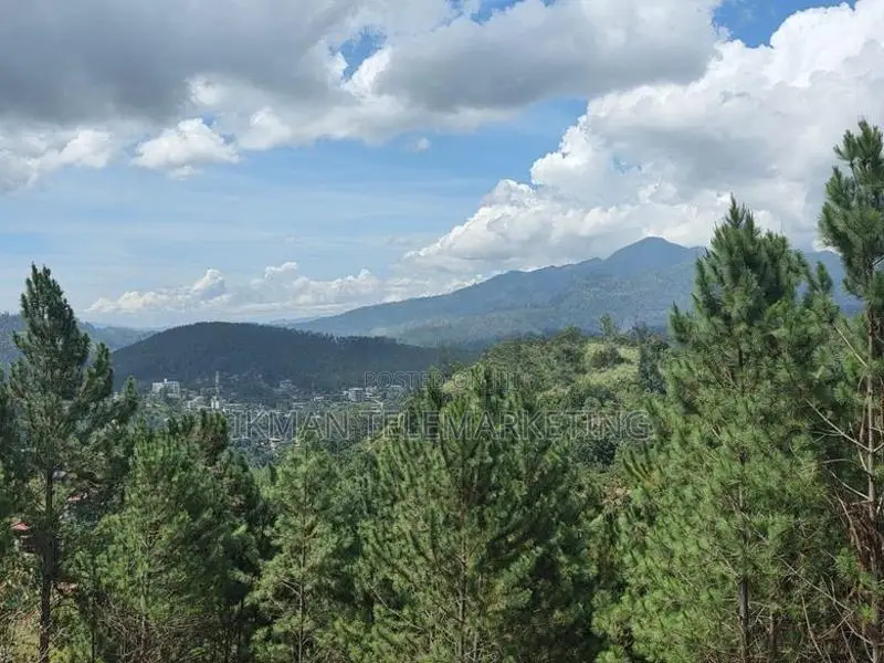 Prime Commercial Land for Sale in Kithal Ella, Ella