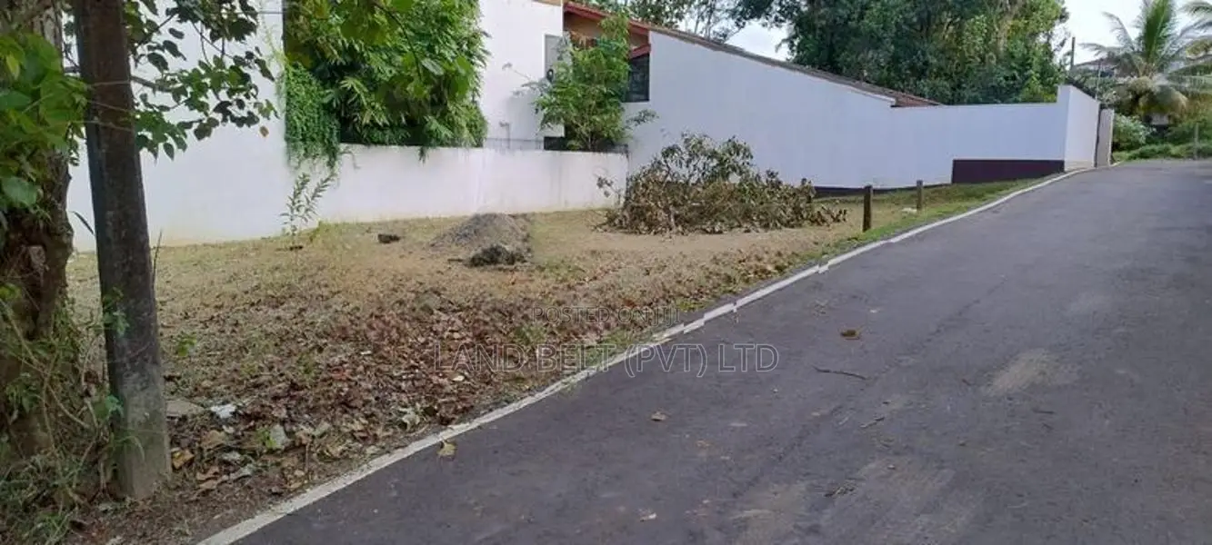 Lake Road Land For Sale In Palawattha