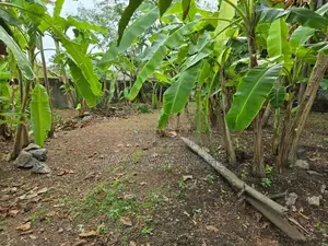 Land for Sale Nawala