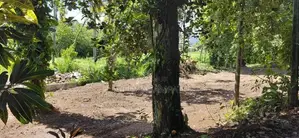 Kottawa Town Land for Sale