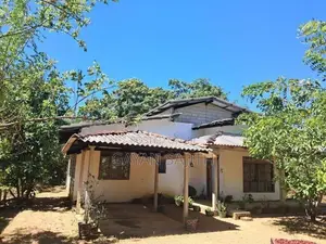 කන්තලේ වටිනා ඉඩමක් සමඟ සියලු පහසුකම් සහිත නව නිවසක් විකිණීමට