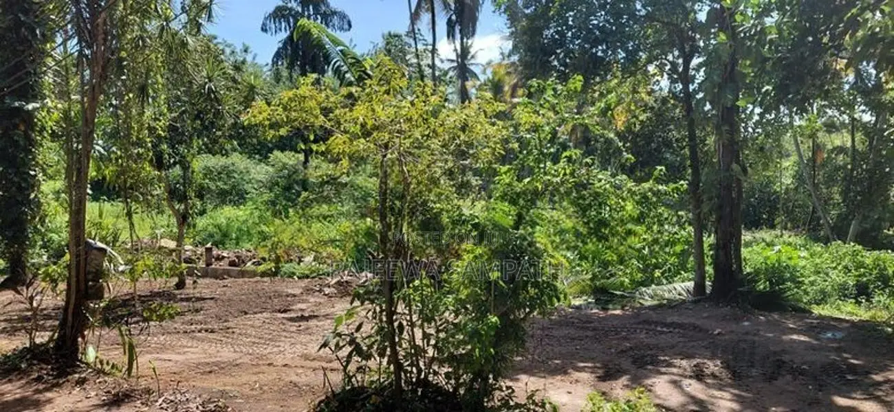 Kottawa Town Land for Sale