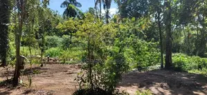 Kottawa Town Land for Sale