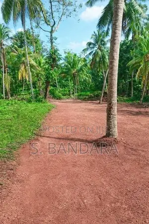 Land for Sale Wallgamulla K1 24/06