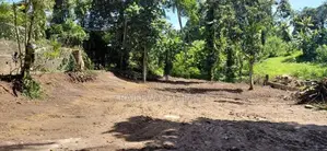 Kottawa Town Land for Sale