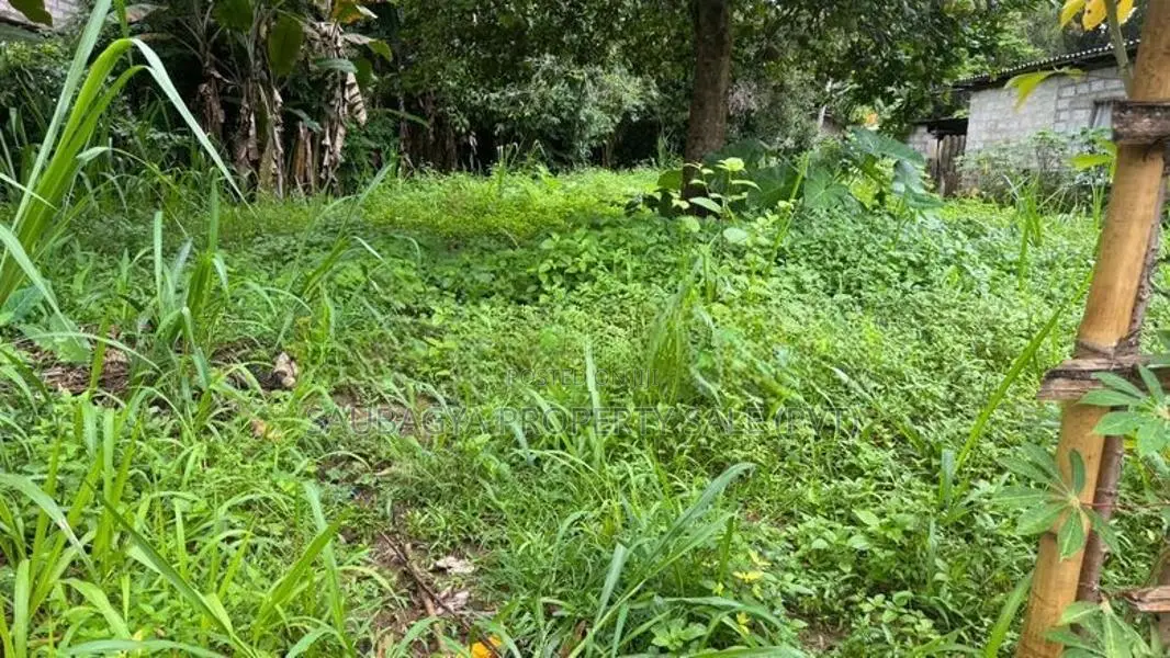 ගම්පොල පර්චස් 24 ක ඉඩමක් විකිණීමට