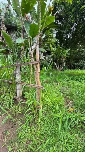 Land for Sale in Gampola
