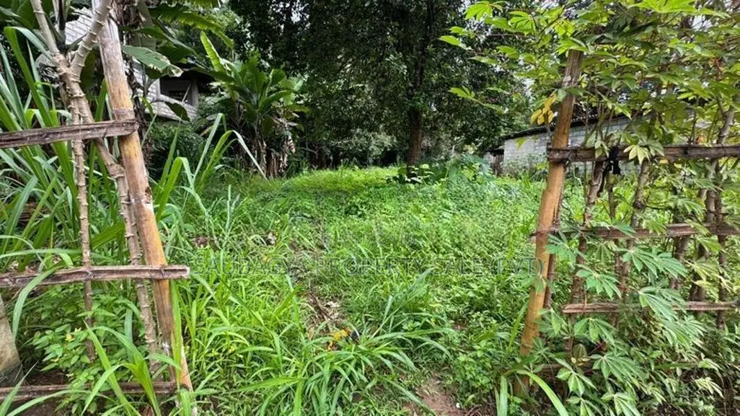 ගම්පොල පර්චස් 24 ක ඉඩමක් විකිණීමට