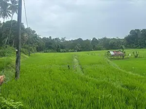 මාවනැල්ලෙන් ඉඩමක් විකිණීමට