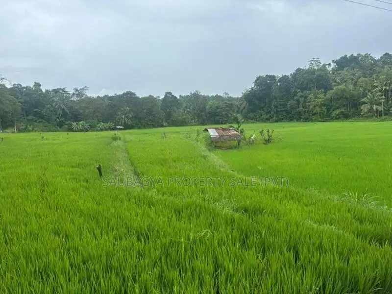 Land for Sale in Dodanthale, Mawanella