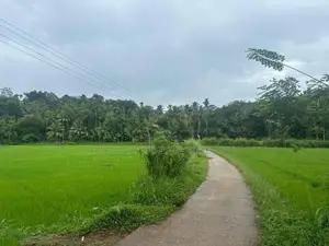 Land for Sale in Dodanthale, Mawanella