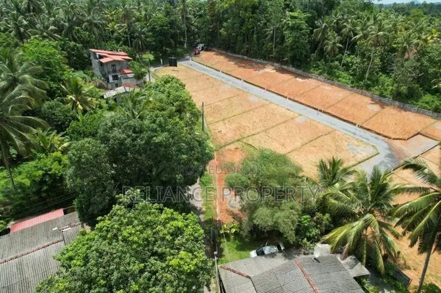 පිටිපන හංදිය ආසන්නයෙන් හරිත පැහැයෙන් පිරුණු සශ්‍රීක පරිසරයකින් ඉඩමක්