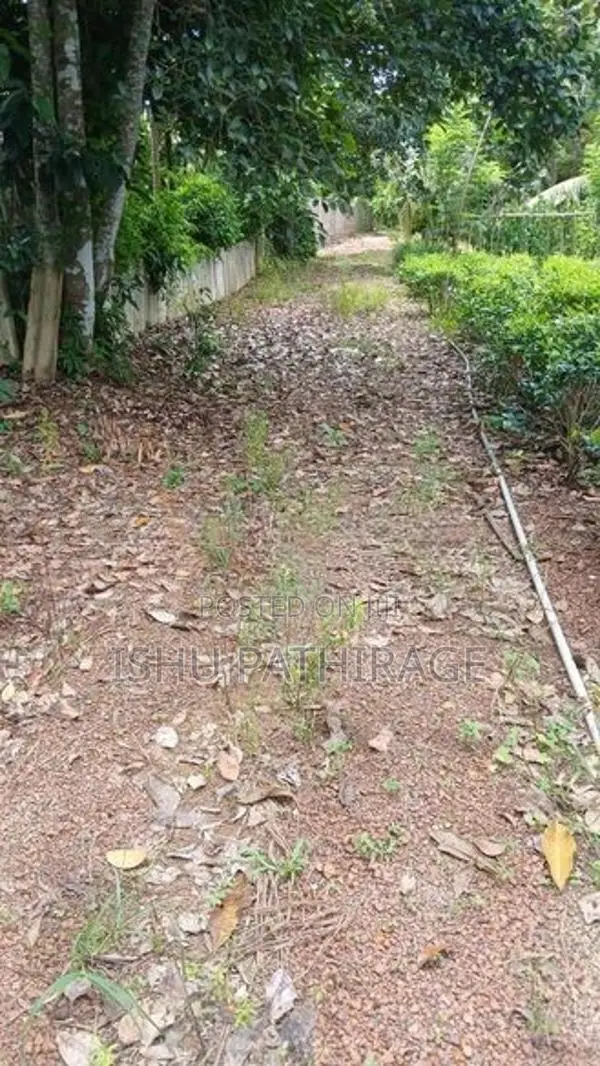 Land for Sale in Bandaragama
