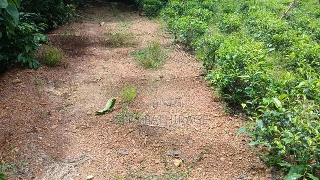 Land for Sale in Bandaragama