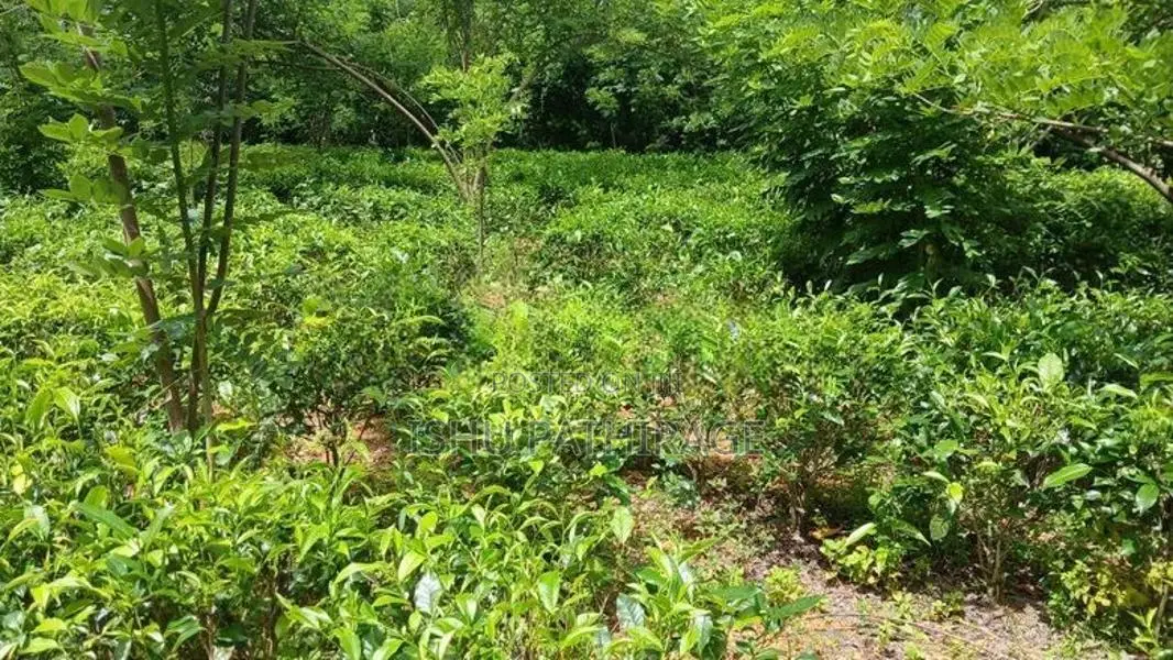 Land for Sale in Bandaragama