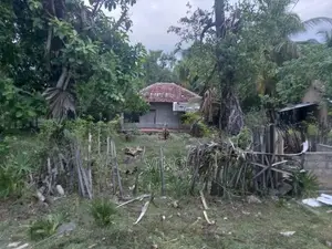 Land with House for Sale Pariyakulam