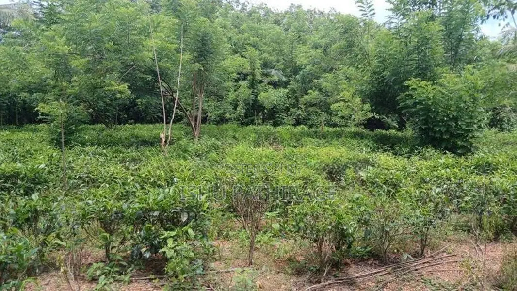 Land for Sale in Bandaragama