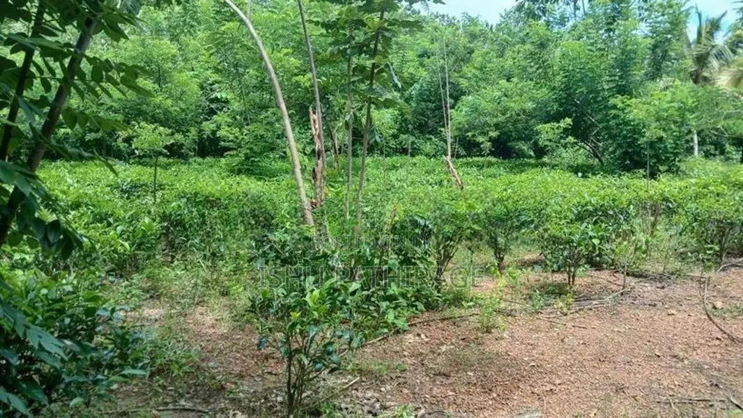 Land for Sale in Bandaragama