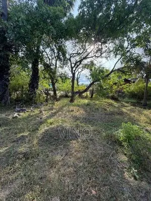 Land with House for Sale Pariyakulam
