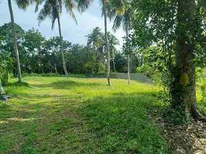 බොල්ගොඩ වැවට මුහුනලා බිම් කොටස් විකිණීමට