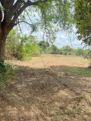 Land For Sale Vavuniya - காணி விற்பனைக்கு