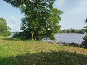 බොල්ගොඩ වැවට මුහුනලා බිම් කොටස් විකිණීමට