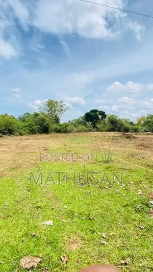 Land For Sale Vavuniya - காணி விற்பனைக்கு