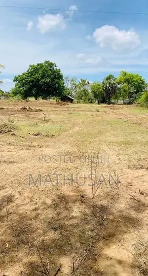 Land For Sale Vavuniya - காணி விற்பனைக்கு