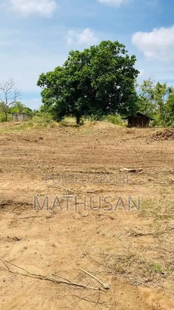 Land For Sale Vavuniya - காணி விற்பனைக்கு