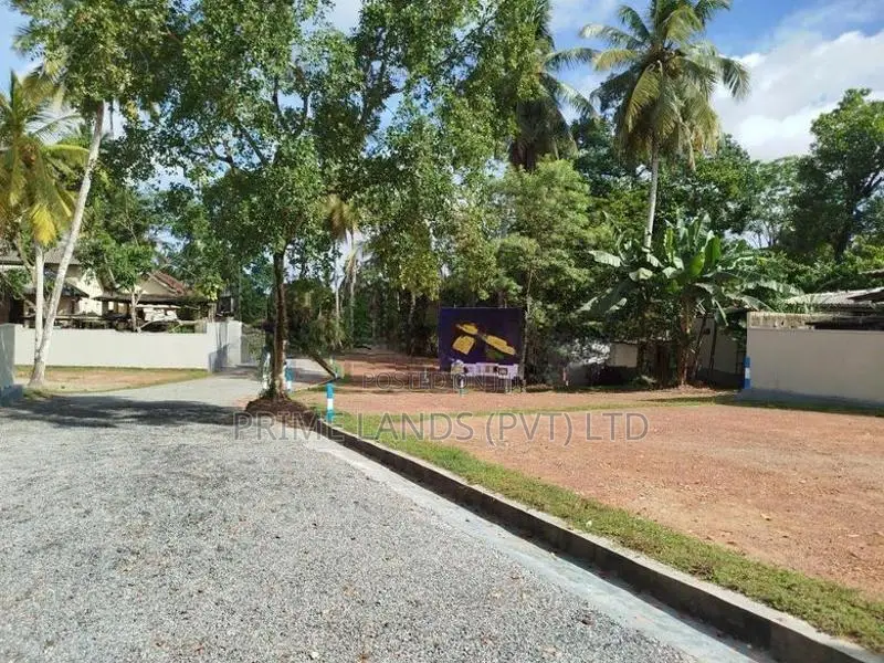 හෝමාගම බිම් කොටස් විකිණීමට