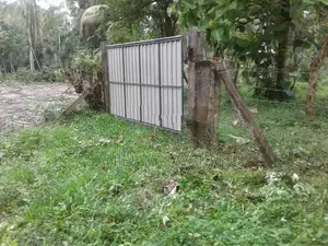 පොල් ඉඩමක් Giriulla