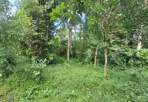 House for Sale – Doranagoda, Gampaha.