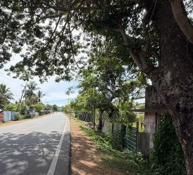 A9 Road Facing Land for Sale at Ariyalai