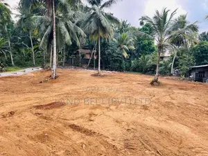 පනාගොඩින් ඉඩමක් විකිණීමට
