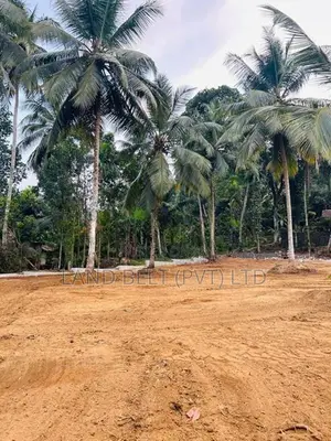 පනාගොඩින් ඉඩමක් විකිණීමට