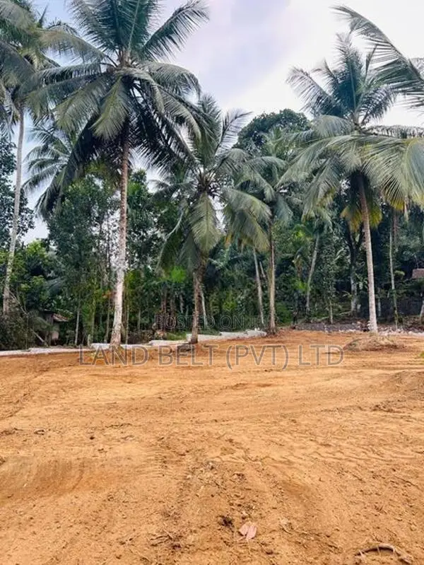පනාගොඩින් ඉඩමක් විකිණීමට