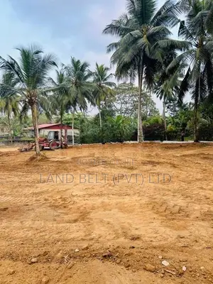 පනාගොඩින් ඉඩමක් විකිණීමට