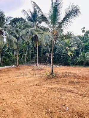 පනාගොඩින් ඉඩමක් විකිණීමට