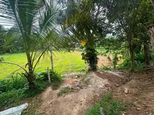 Two Blokes of Land for Sale Menikhinna