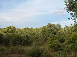 Land for Sale Sigiriya