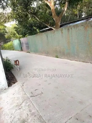 සීදුව - මුකලන්ගමුවෙන් වටිනා ඉඩමක් විකිණීමට ඇත.