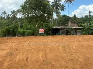 නාරම්මලින් කොලඹ පාරෙන් ඉඩමක් පර්චස් 60