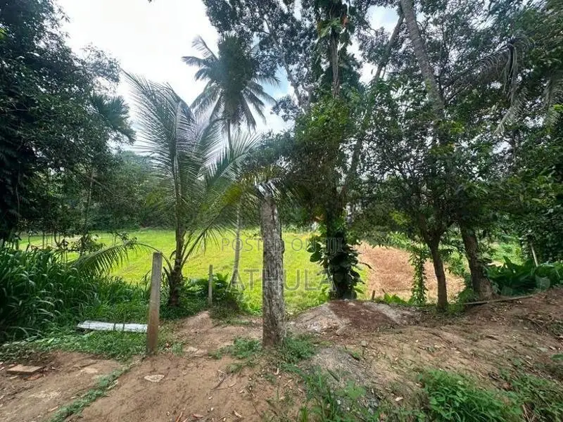 Two Blokes of Land for Sale Menikhinna