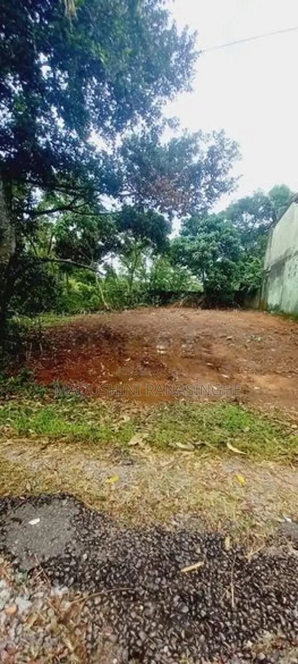 Land for Sale Pitipana
